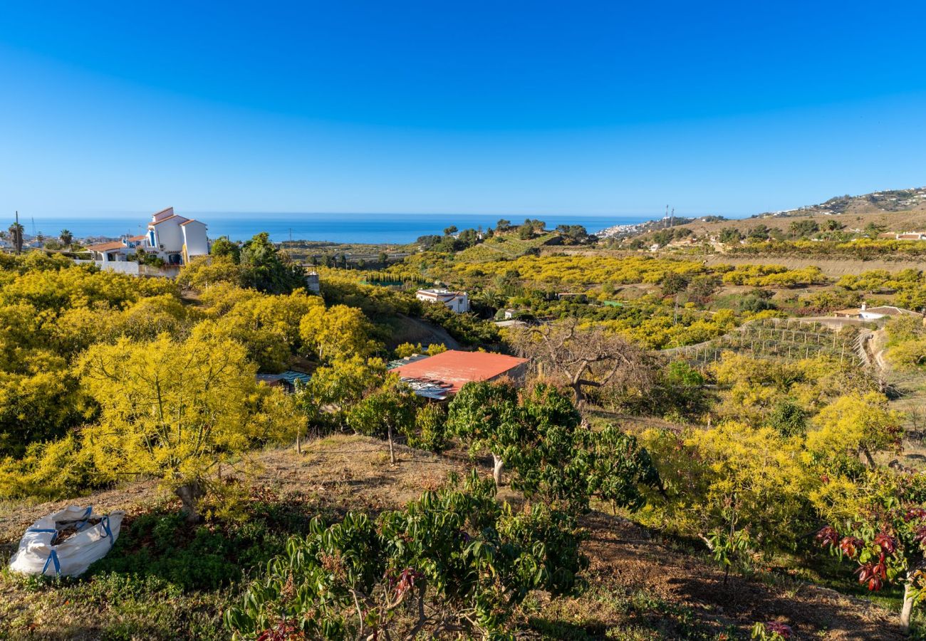 Casa rural en Nerja - Nerja 011