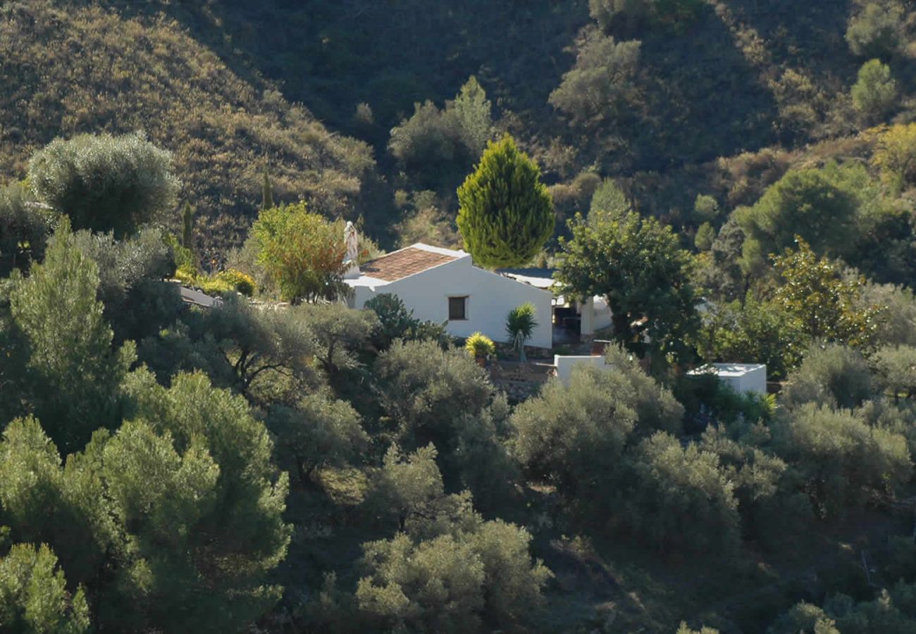 Casa rural en Frigiliana - Acebuchal 001 