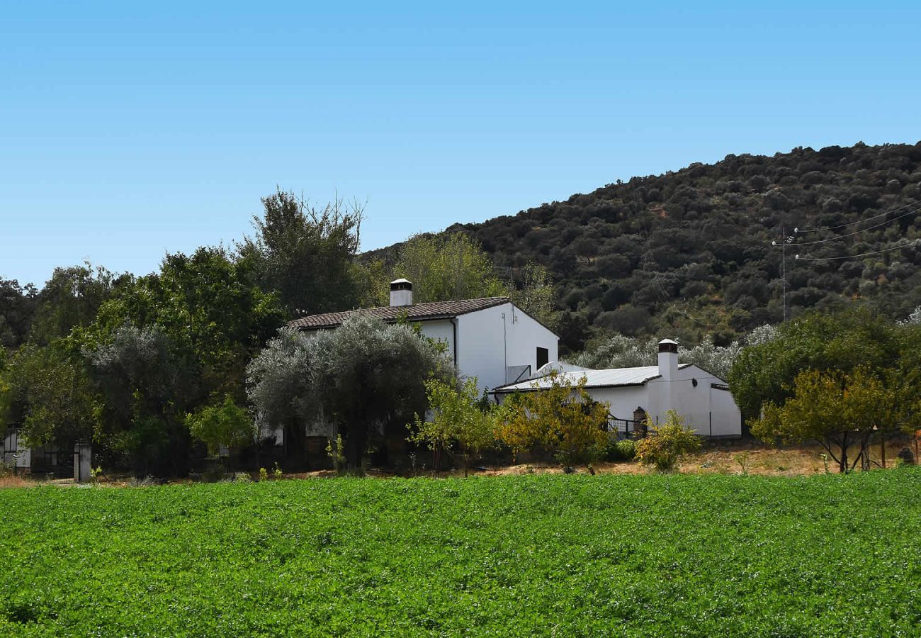 Casa rural en Aroche - Aracena 005