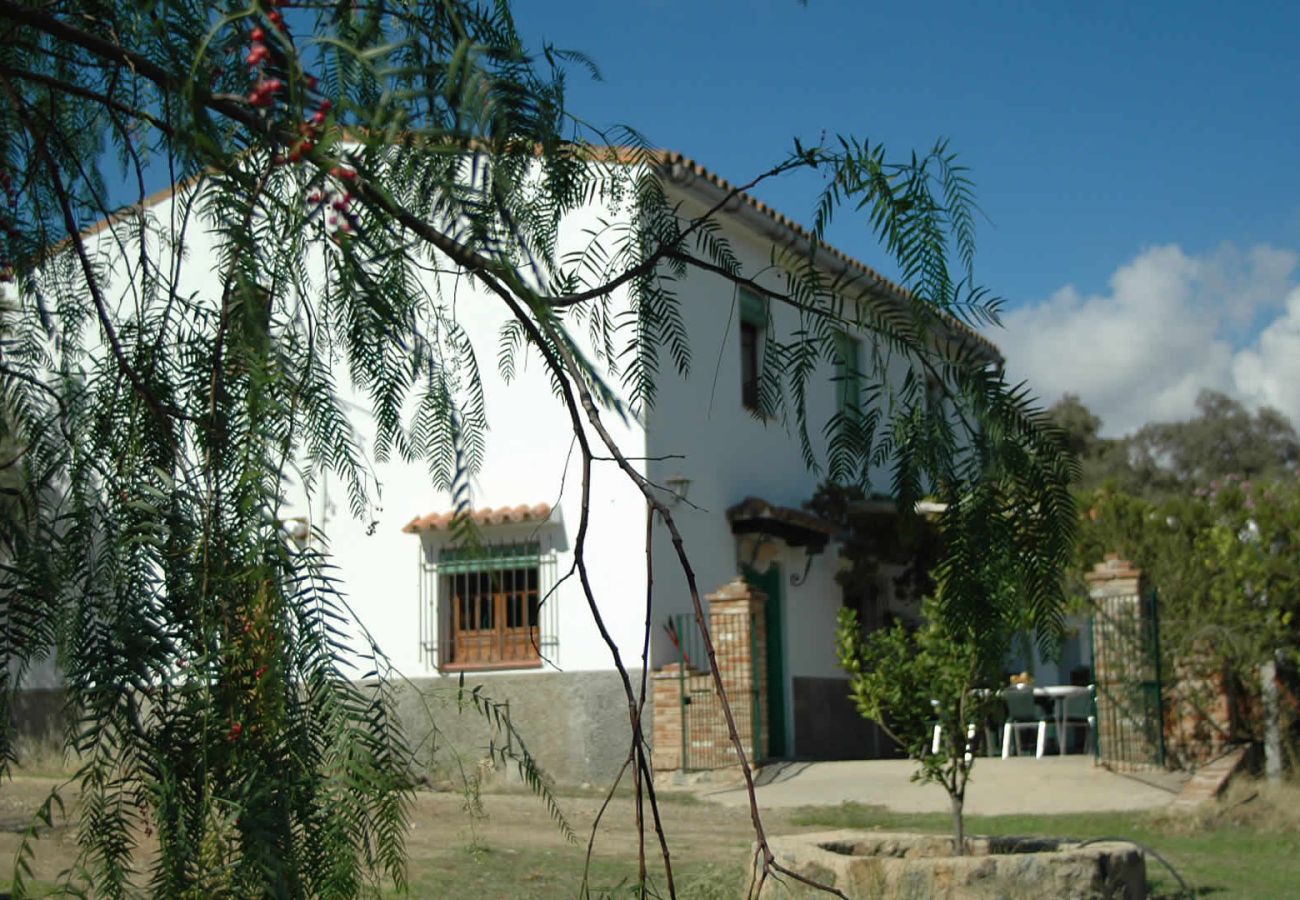 Casa rural en Aroche - Aracena 005