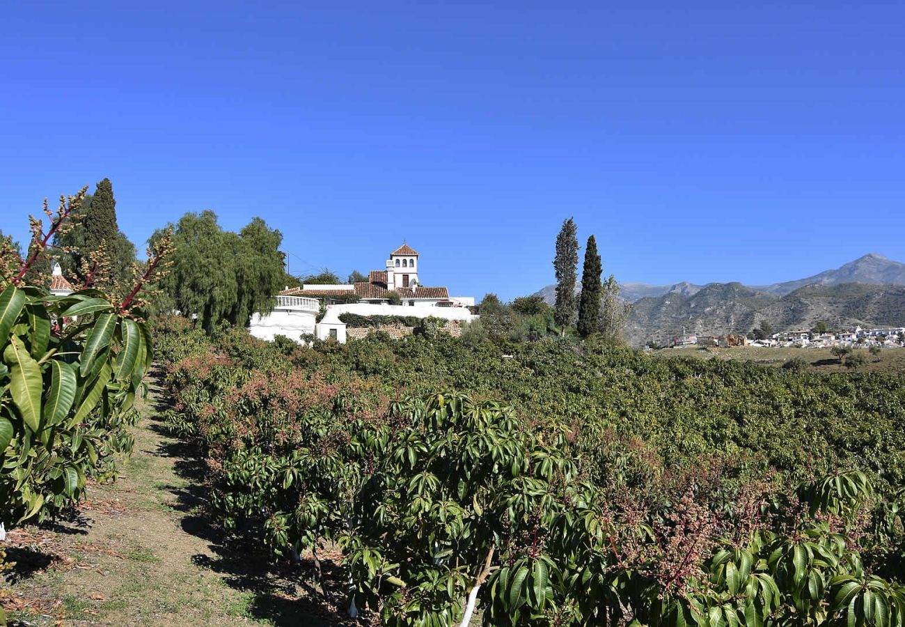 Villa en Nerja - Nerja 002