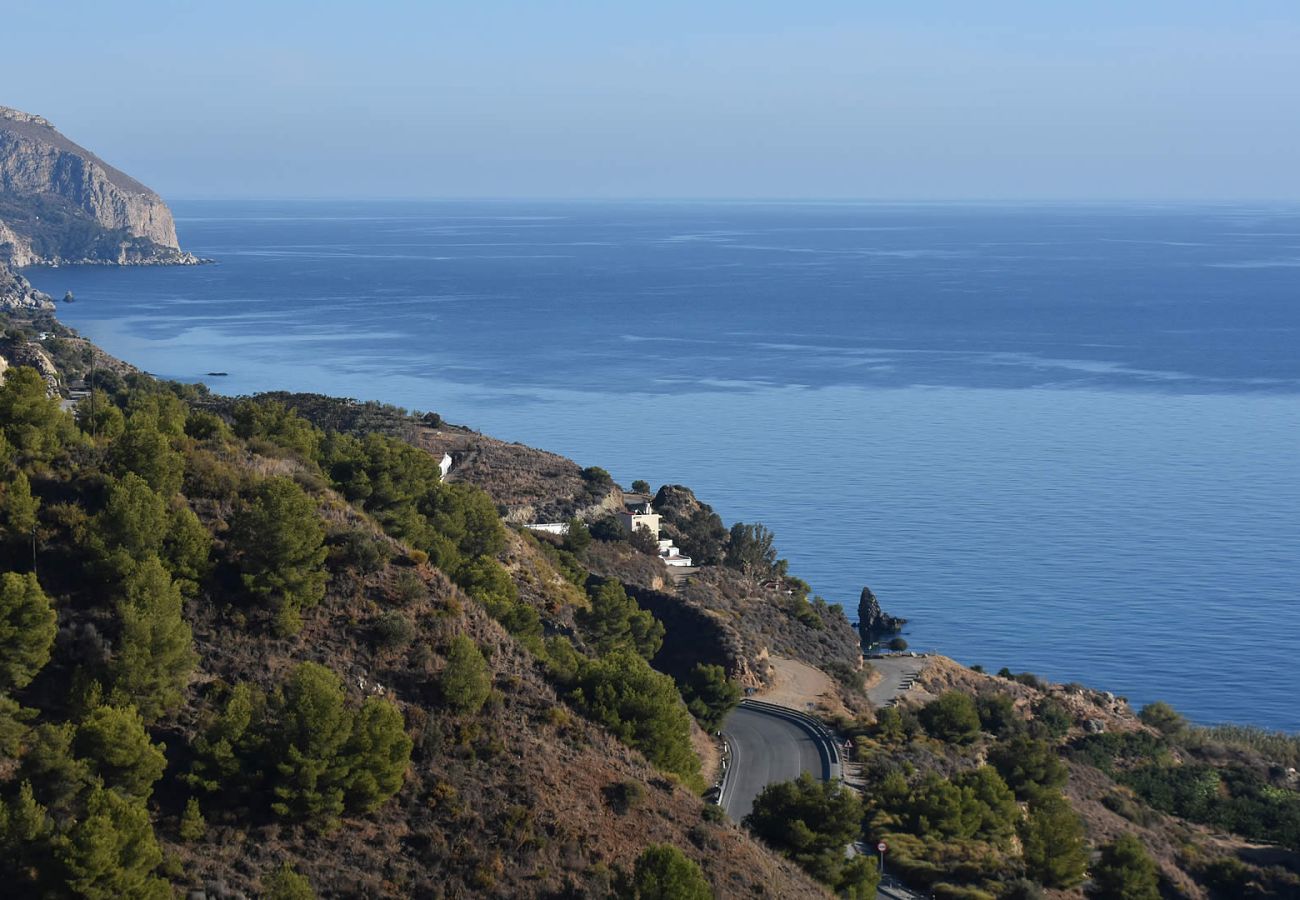 Villa en Nerja - Maro 002