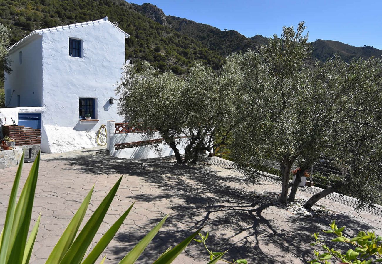 Villa en Frigiliana - Frigiliana 015