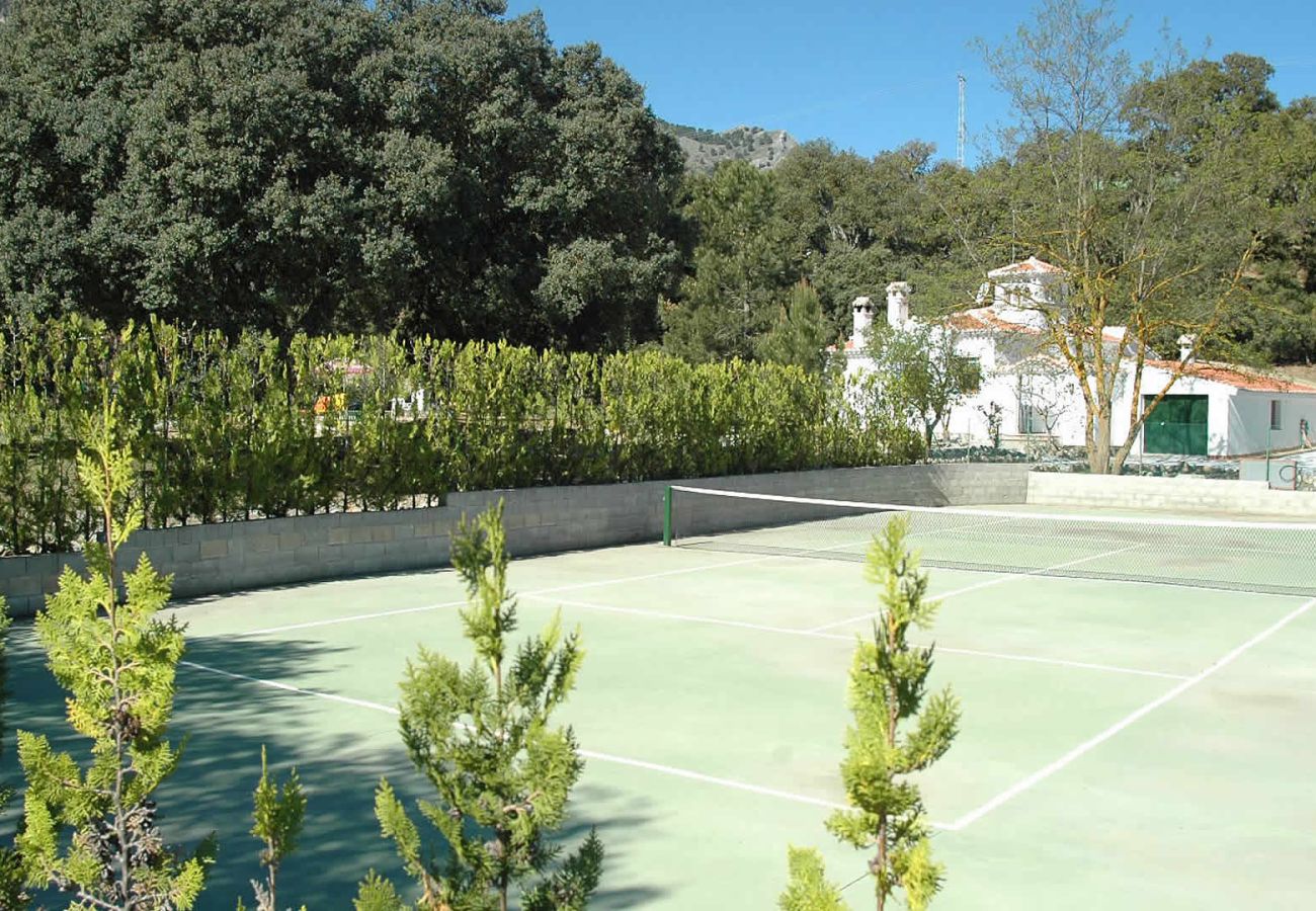 Casa rural en Alhama de Granada - Granada 003